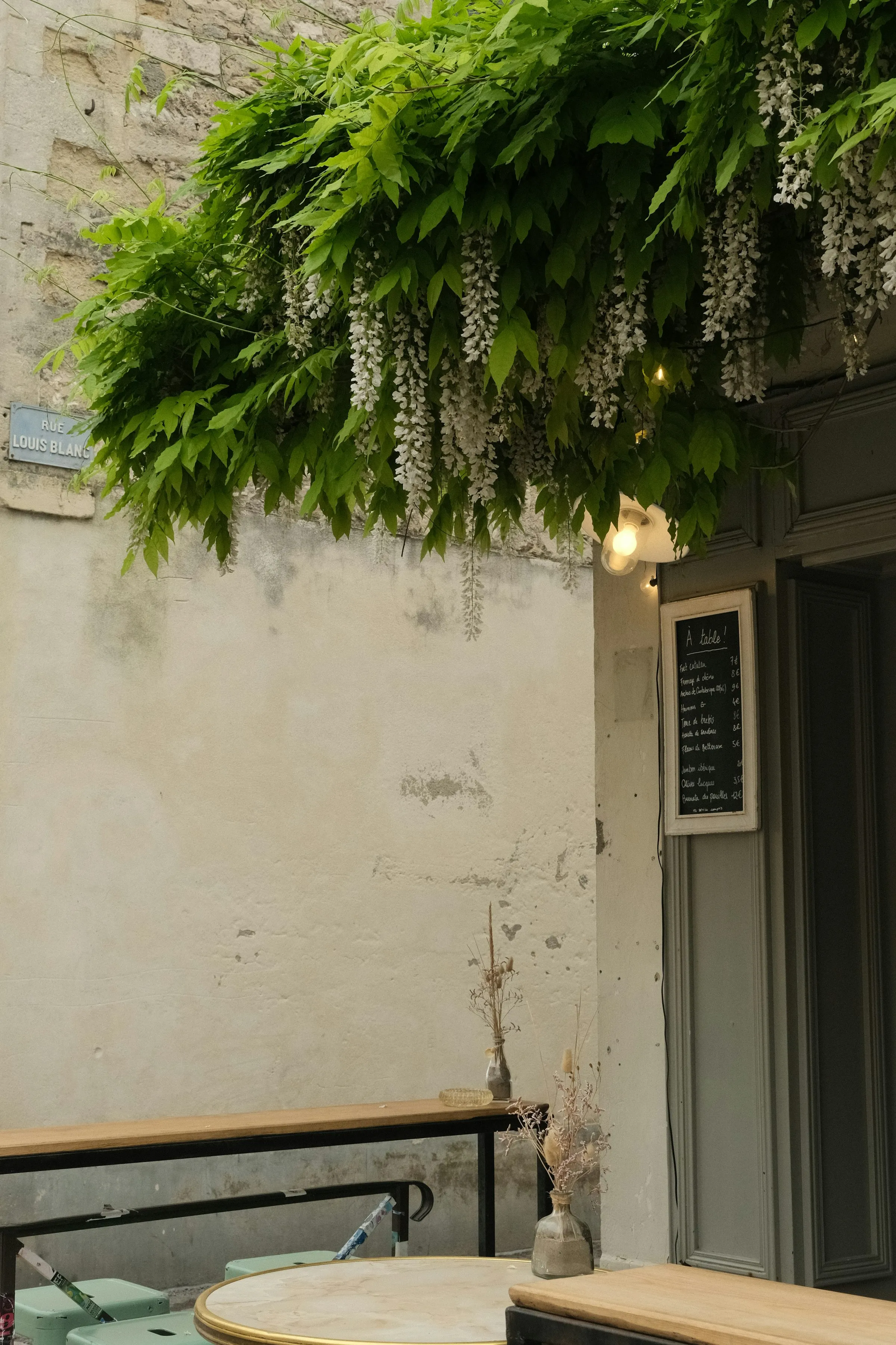 Un glicine in fiore sopra l’ingresso del locale