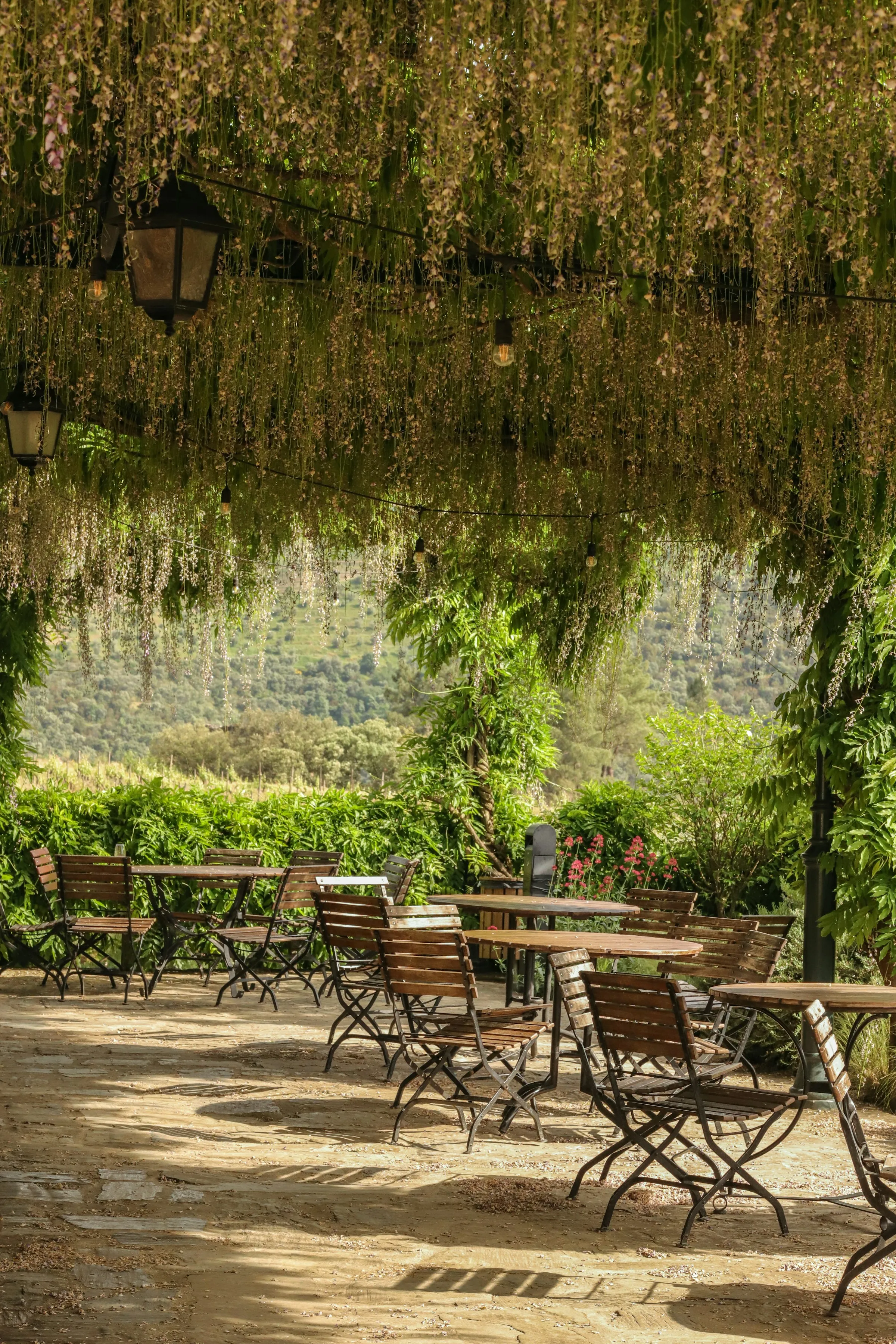 Tavoli all’aperto sotto una pergola fiorita, con le colline sullo sfondo
